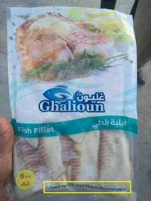 1- فليه بلطي منتج المزرعة السمكية ببركة غليون