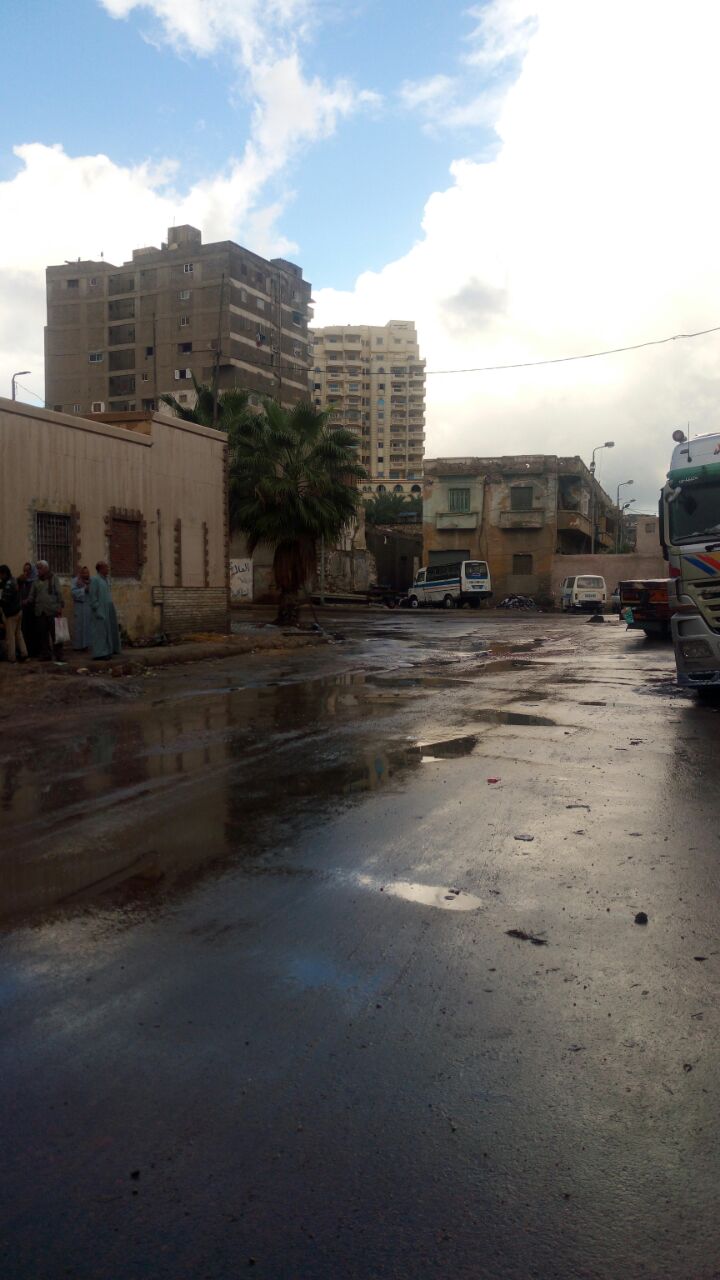 شوارع الاسكندرية 2