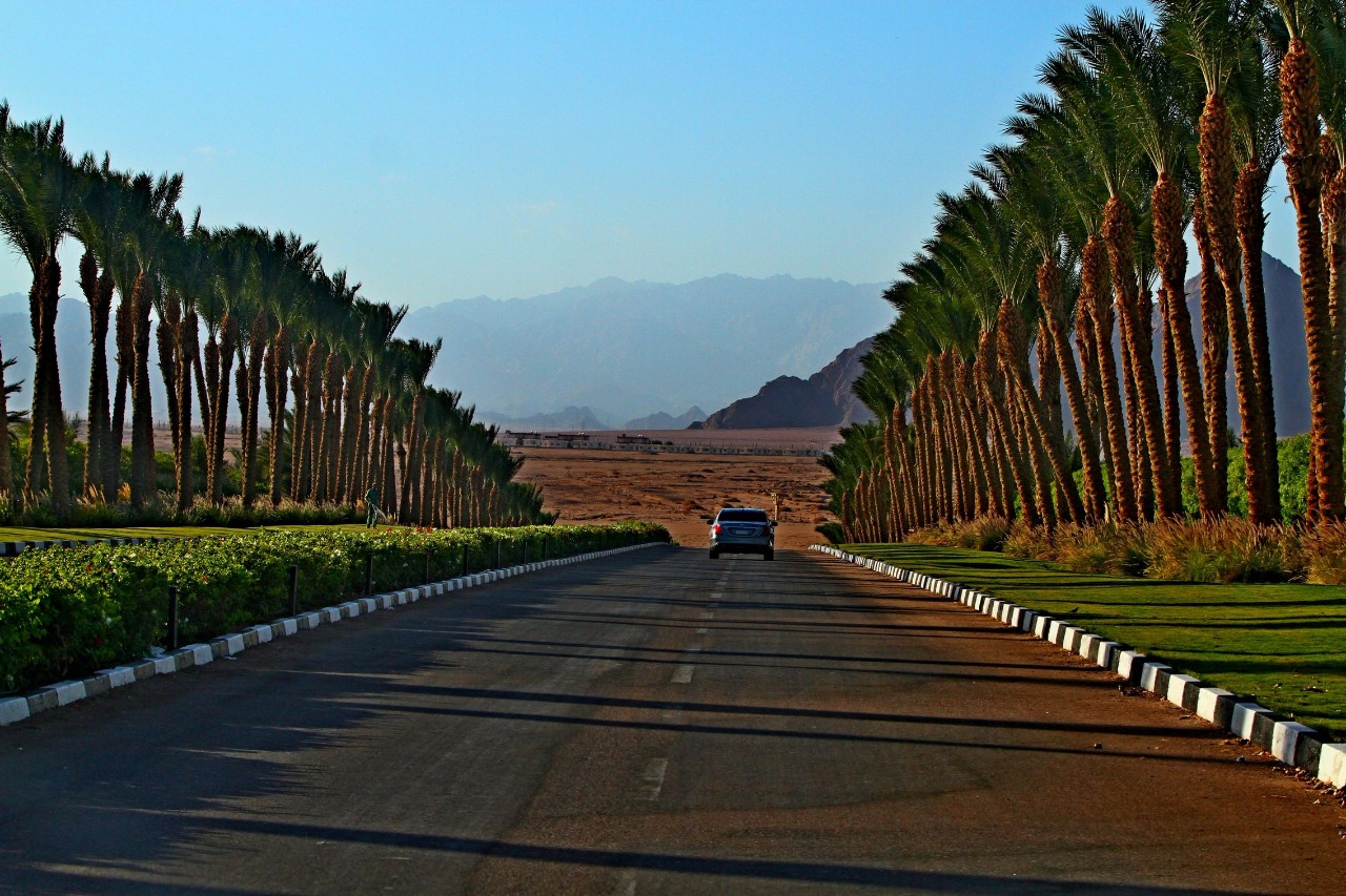 4a3ebedd-4d04-43d0-8bc5-6ccf37cc3326 4a3ebedd-4d04-43d0-8bc5-6ccf37cc3326