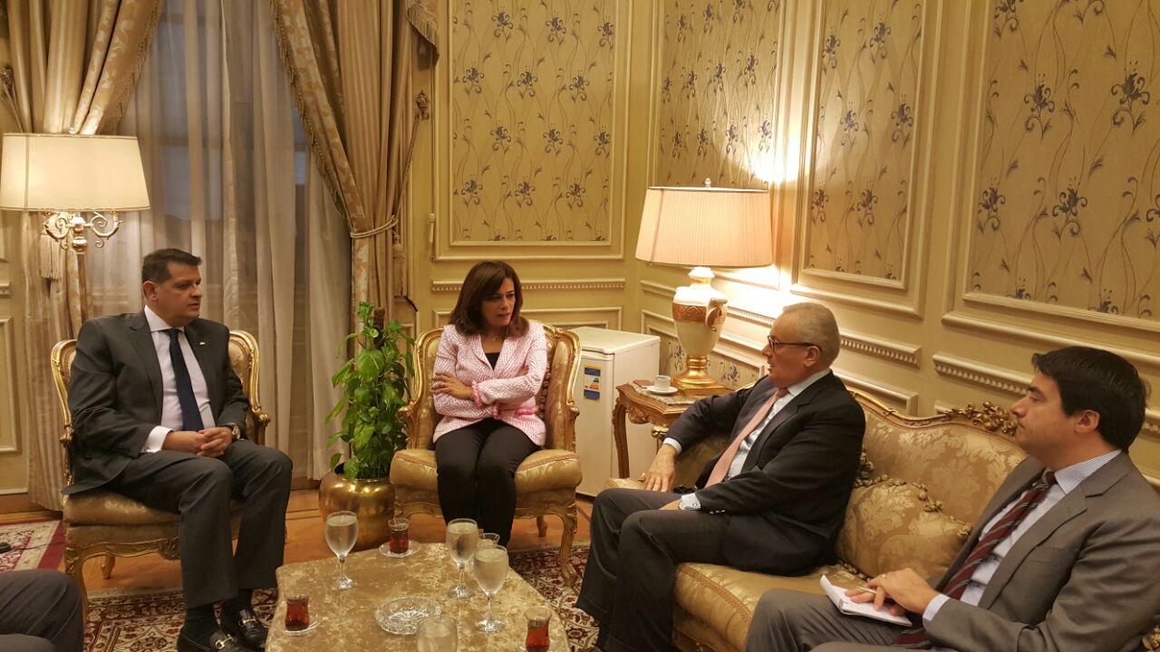 رئيس خارجية البرلمان يلتقى بسفير إيطاليا بالقاهرة (1)