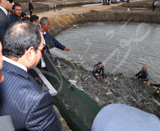 السيسي يشهد افتتاح المرحلة الثانية من مشروع الاستزراع السمكي (28)