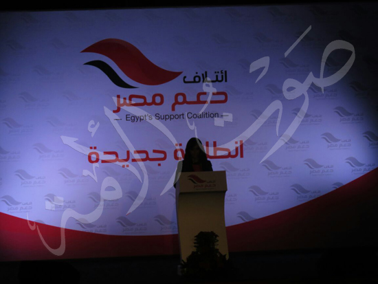 مؤتمر ائتلاف دعم مصر (8)