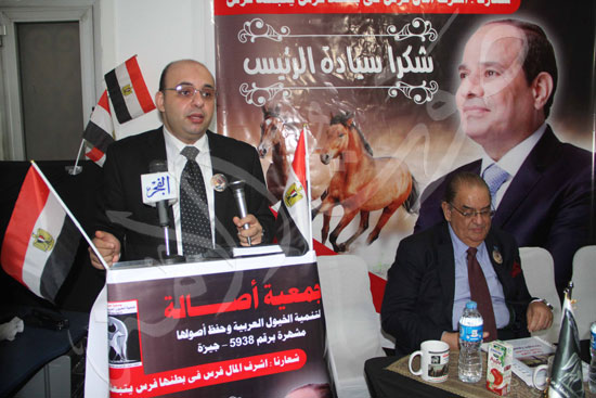 جمعية أصالة للخيول العربية  (12)
