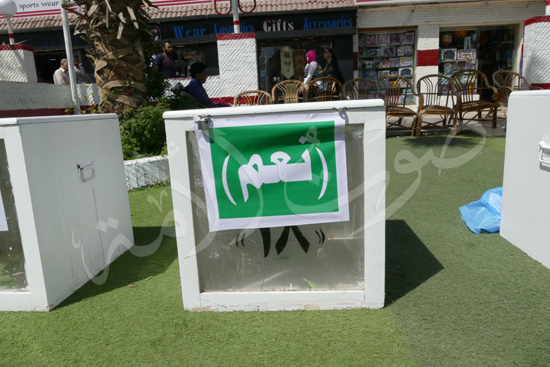 الجمعية العمومية لنادى الزمالك (16)