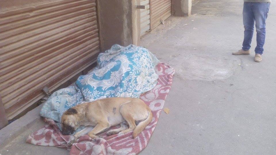 مكان مبيت مبروك السيسي مدمن الترامادول ويعاني من الدعامة ببطنه