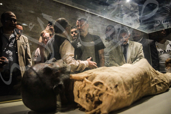 زياره رايان جيجز للمتحف المصري (5)