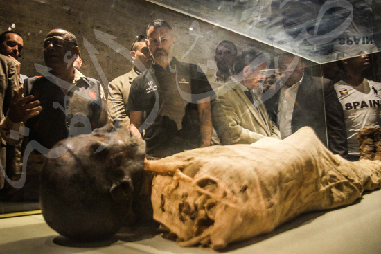 زياره رايان جيجز للمتحف المصري (6)