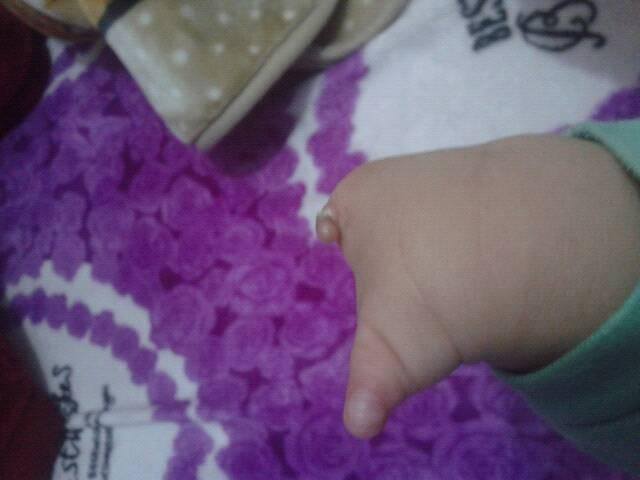 17793102_637420559801884_530754190_n