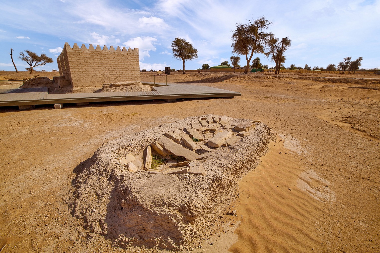 أحد القبور المكتشفة في وجهة مليحة للسياحة البيئية والأثرية