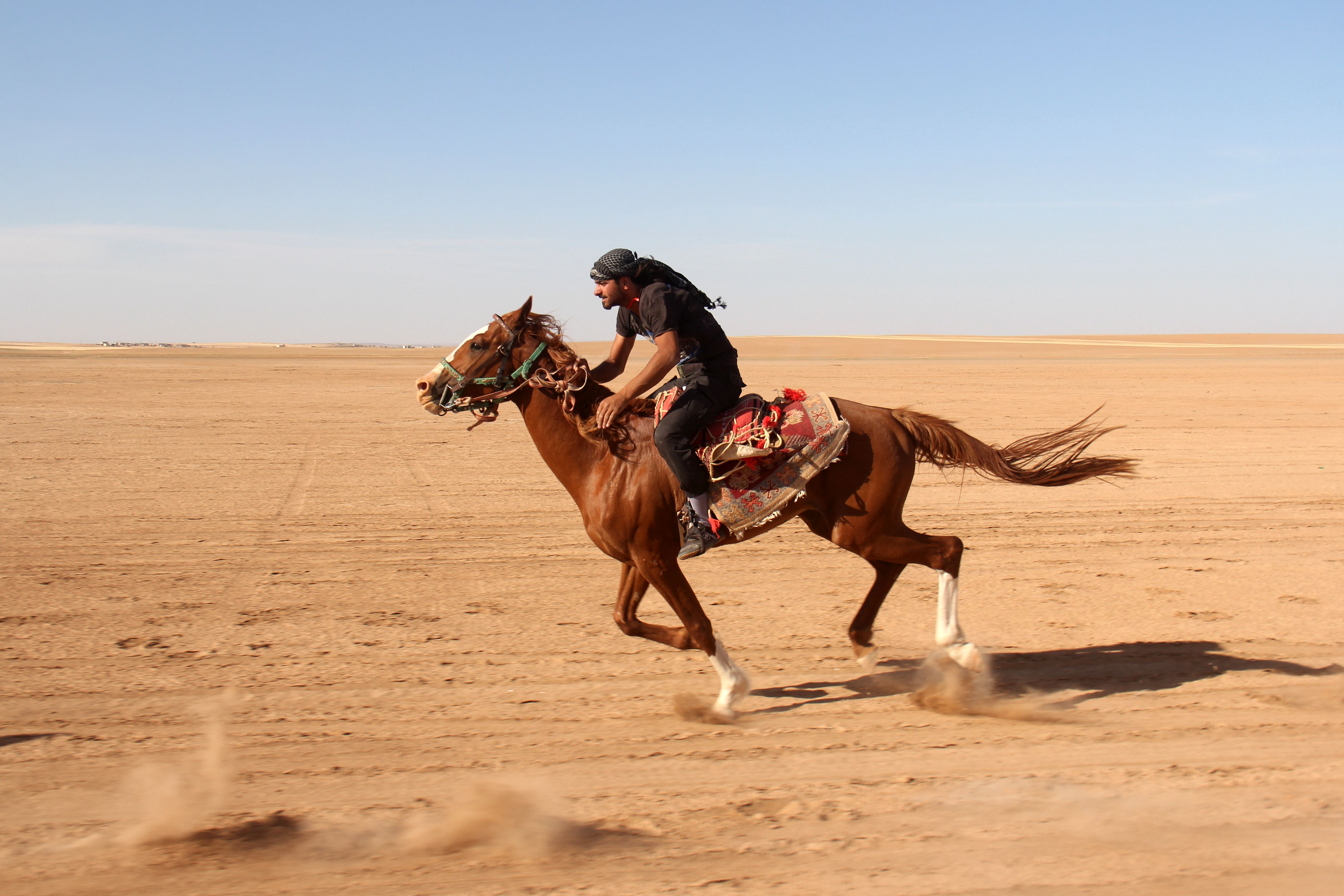 شاب سورى يهرول بحصانه فى سباق الخيول