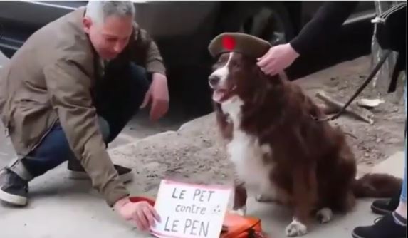 كلاب بالانتخابات الفرنسية
