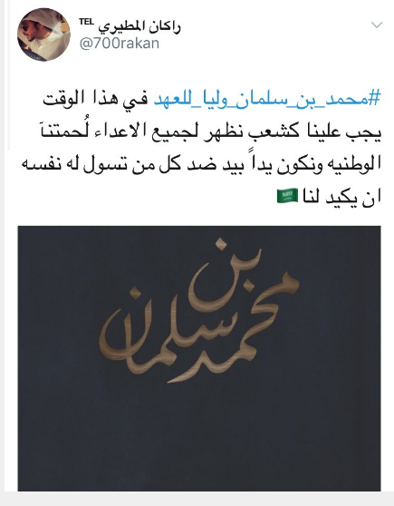 Capture محمد بن سلمان 3