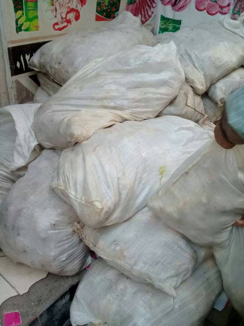 جانب من الفراخ الفاسدة جانب من الفراخ الفاسدة