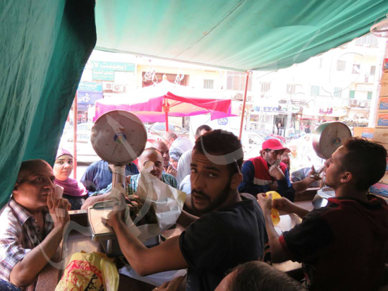 إقبال كثيف من المواطنين على شراء الفسيخ في العيد (6)