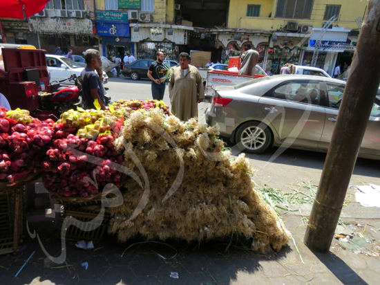 إقبال كثيف من المواطنين على شراء الفسيخ في العيد (20)
