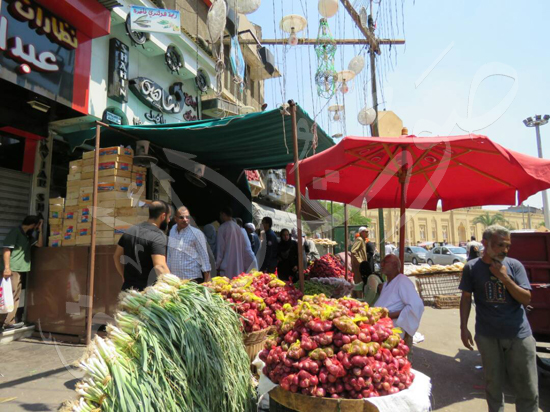 إقبال كثيف من المواطنين على شراء الفسيخ في العيد (23)