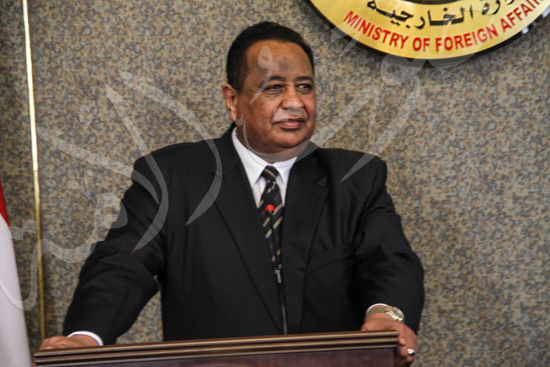 مؤتمر وزيري الخارجية المصري والسوداني (11)