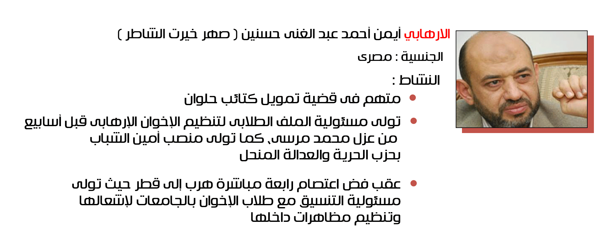 أيمن أحمد عبد الغني حسنين صهر خيرت الشاطر - مصر