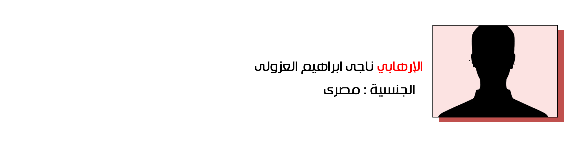 ناجي إبراهيم العزولي - مصر