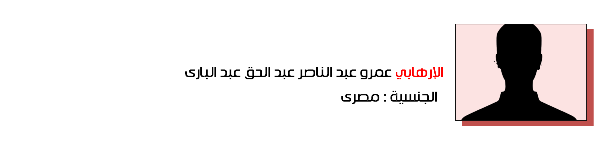 عمرو عبد الناصر عبد الحق عبد الباري - مصر