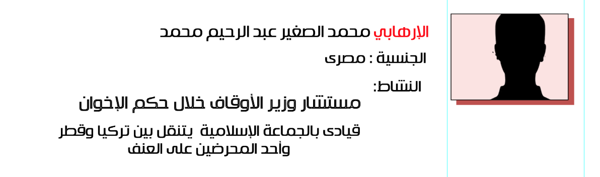 محمد الصغير عبد الرحيم محمد - مصر