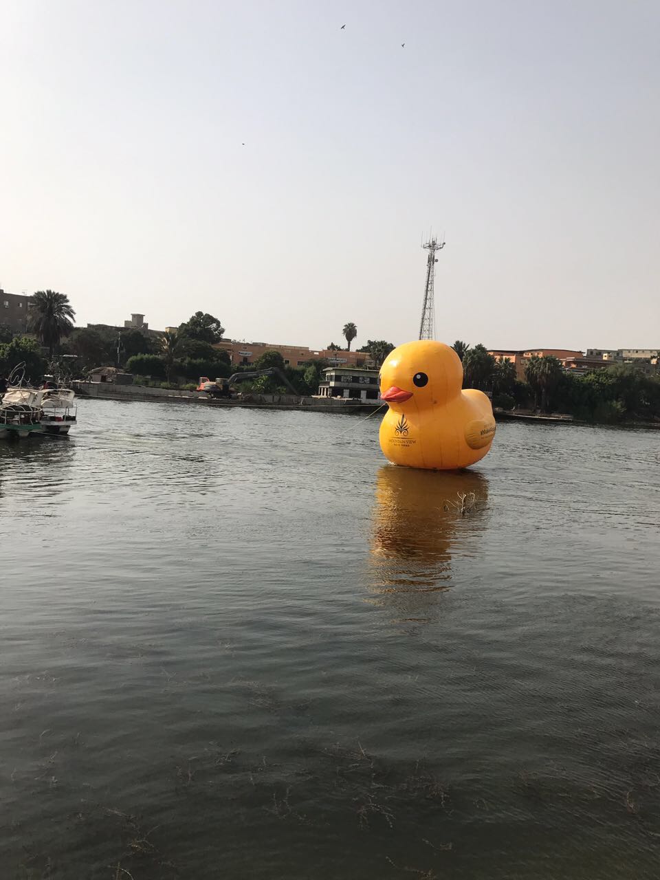 0a9951d1-3cc5-452f-896f-23238b3bc657 0a9951d1-3cc5-452f-896f-23238b3bc657