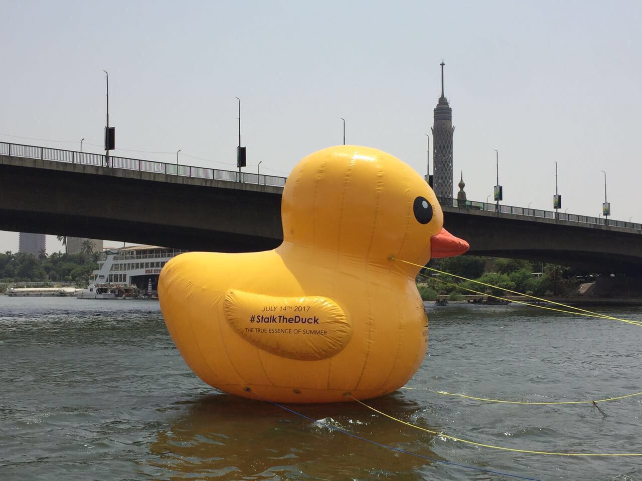 022883e8-c771-4d5a-833d-90595787afb5 022883e8-c771-4d5a-833d-90595787afb5