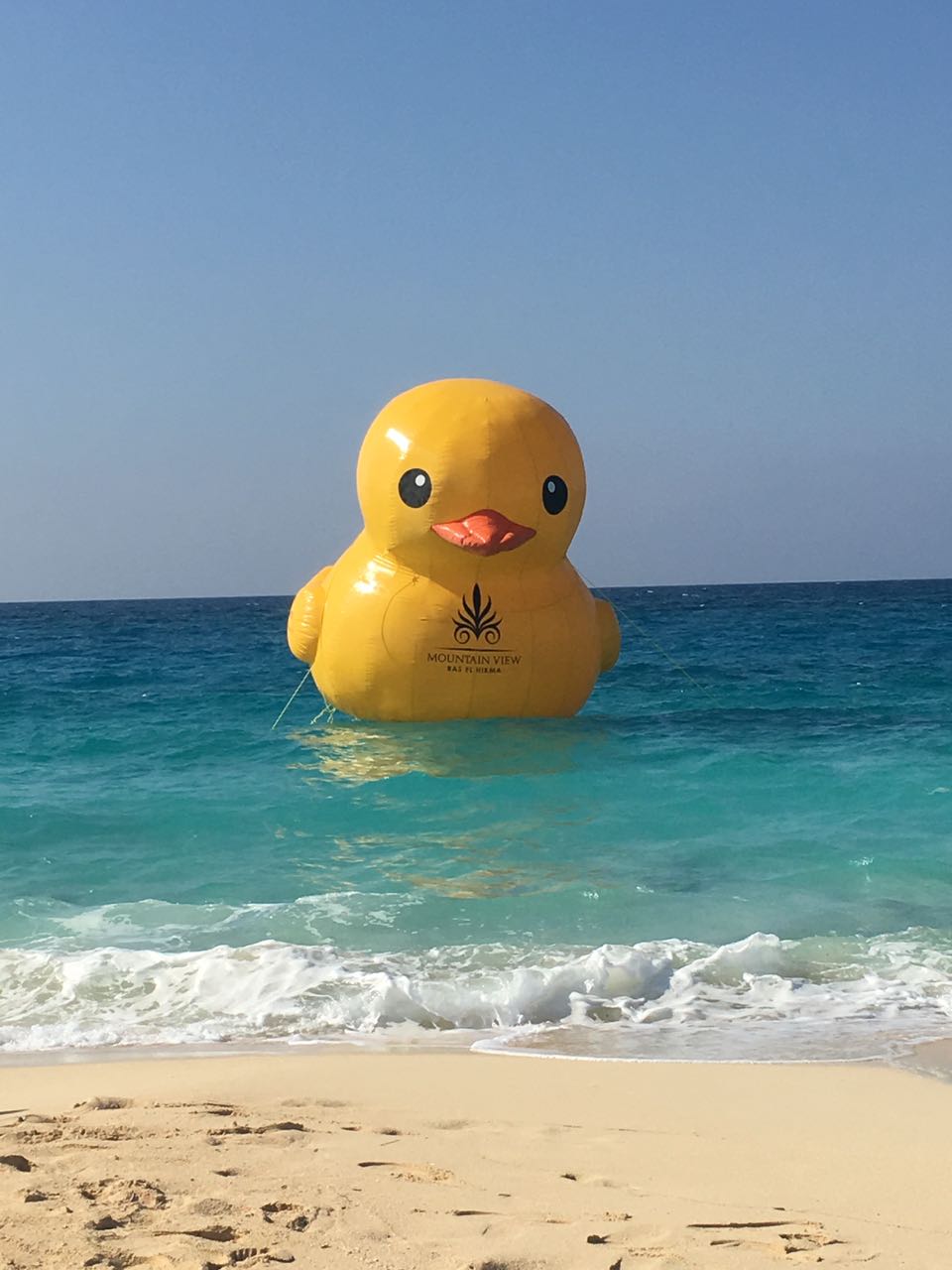 8e8fe54e-d76f-499e-a9d9-320f3b9f81ed 8e8fe54e-d76f-499e-a9d9-320f3b9f81ed