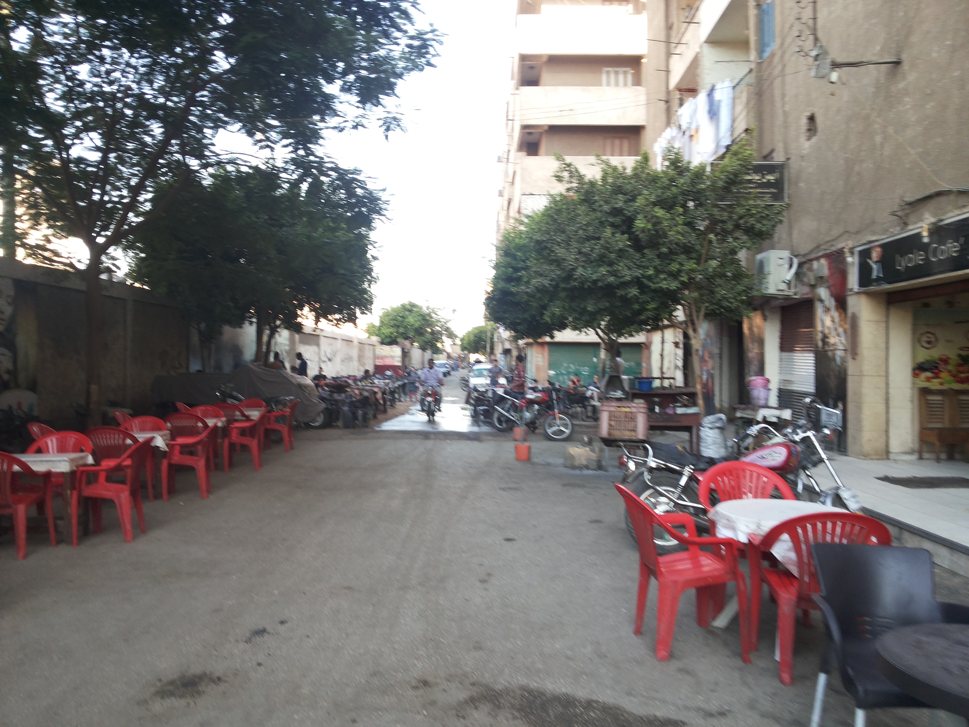 غزو المقاهى لشوارع وميادين سوهاج (3)