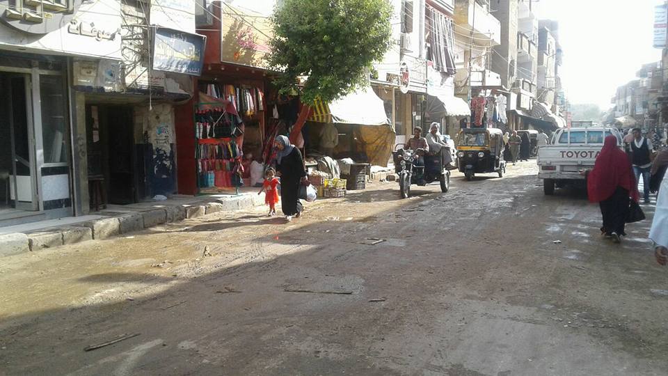حملات مكبرة للنظافة والتجميل بشوارع مدينة المراغة (3)