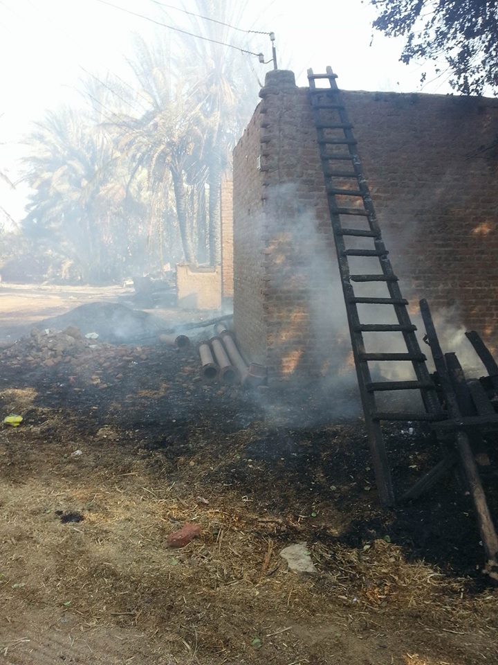 إخماد  حريق  ضخم اندلع  في مزرعة مواشي  غرب النيل بدراو  (7)