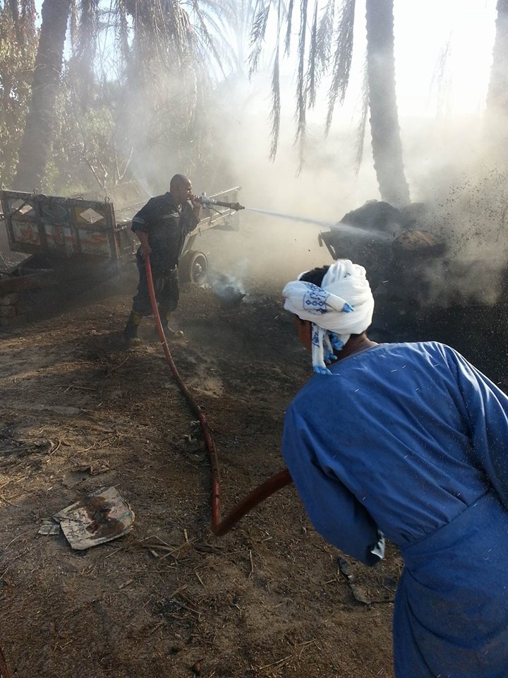 إخماد  حريق  ضخم اندلع  في مزرعة مواشي  غرب النيل بدراو  (6)
