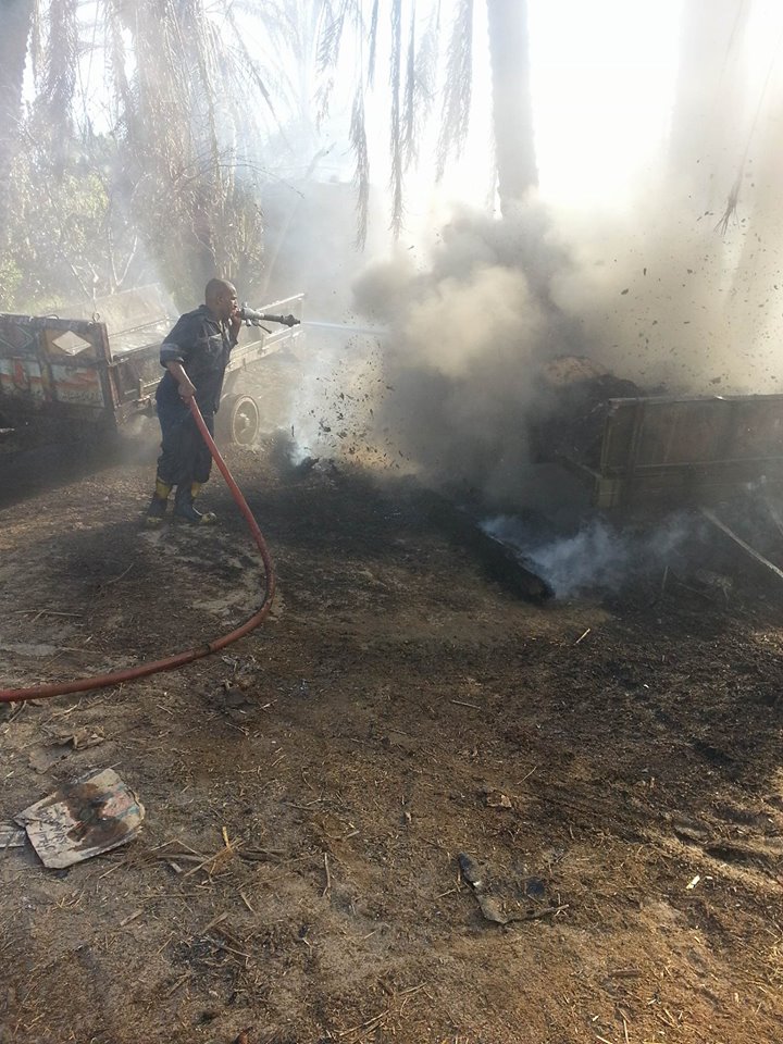 إخماد  حريق  ضخم اندلع  في مزرعة مواشي  غرب النيل بدراو  (10)