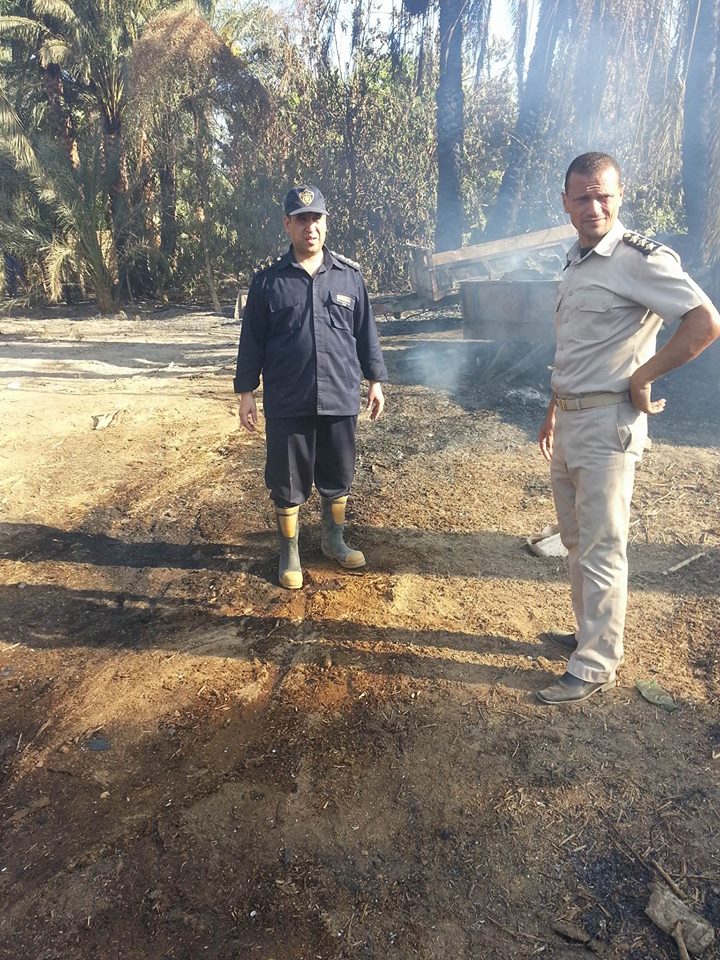 إخماد  حريق  ضخم اندلع  في مزرعة مواشي  غرب النيل بدراو  (1)