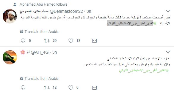 جانب من التدوينات