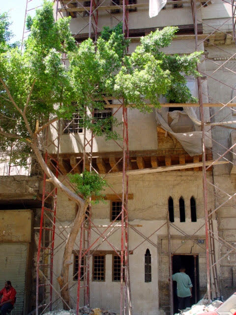 محب3 محب3
