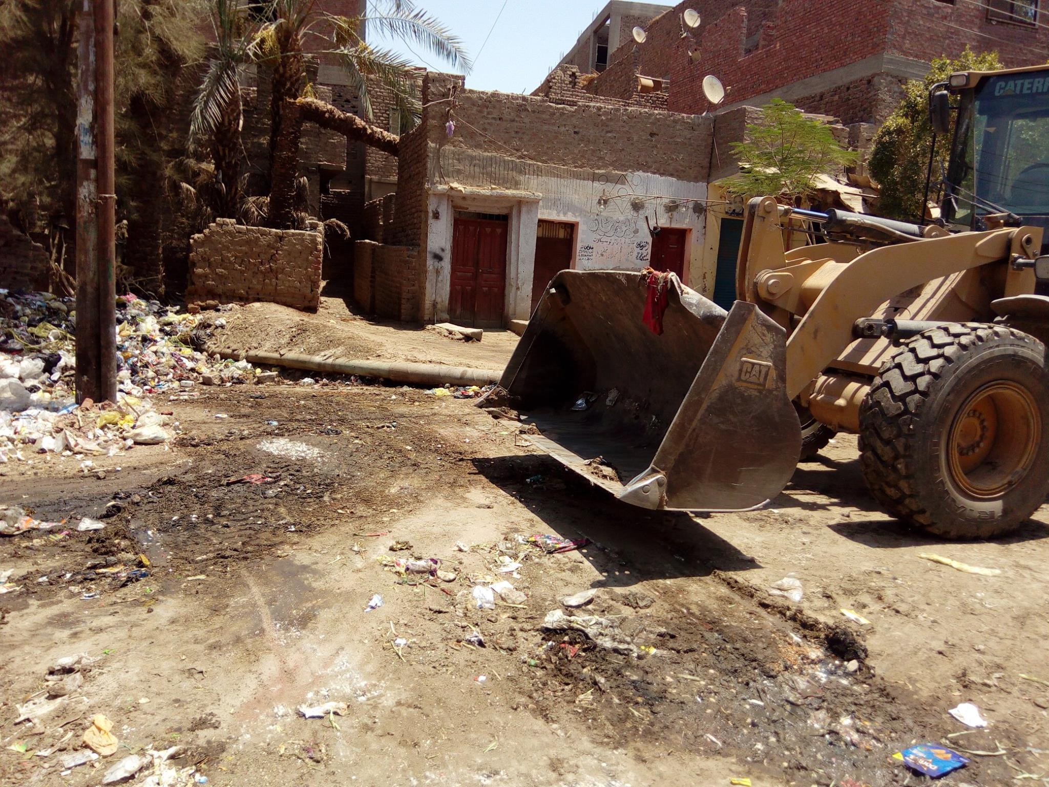 حملة نظافة بقرية الواسطي في أسيوط  (3)