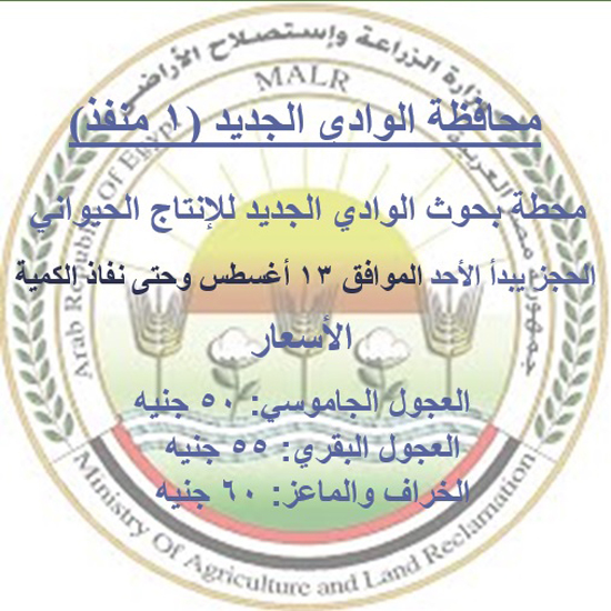 محافظة الوادى الجديد