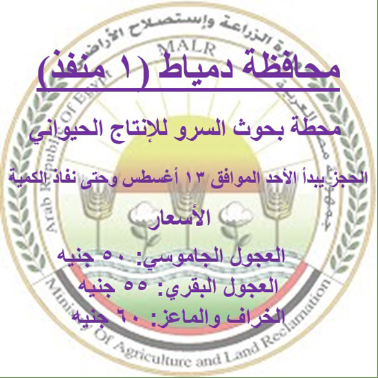 محافظة دمياط