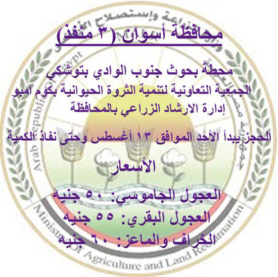 محافظة أسوان