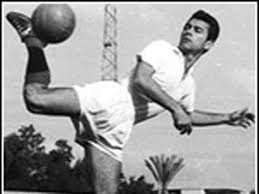 صالح سليم صالح سليم