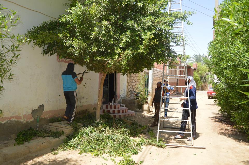 حملة ازالة المخلفات والتراكمات وتقليم الاشجار بالخارجة  (4)