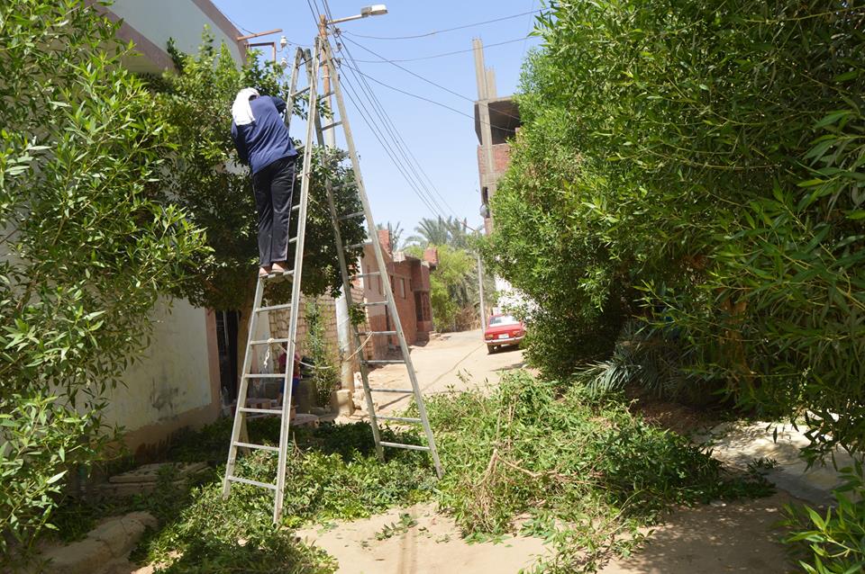 حملة ازالة المخلفات والتراكمات وتقليم الاشجار بالخارجة  (1)