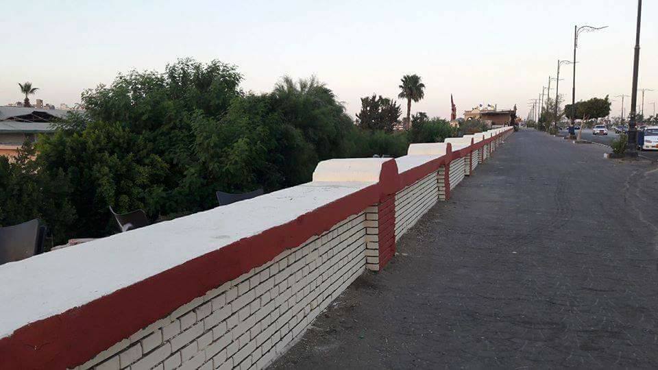 3- بني 3- بني