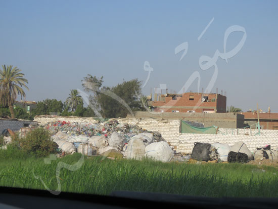IMG_1653 IMG_1653