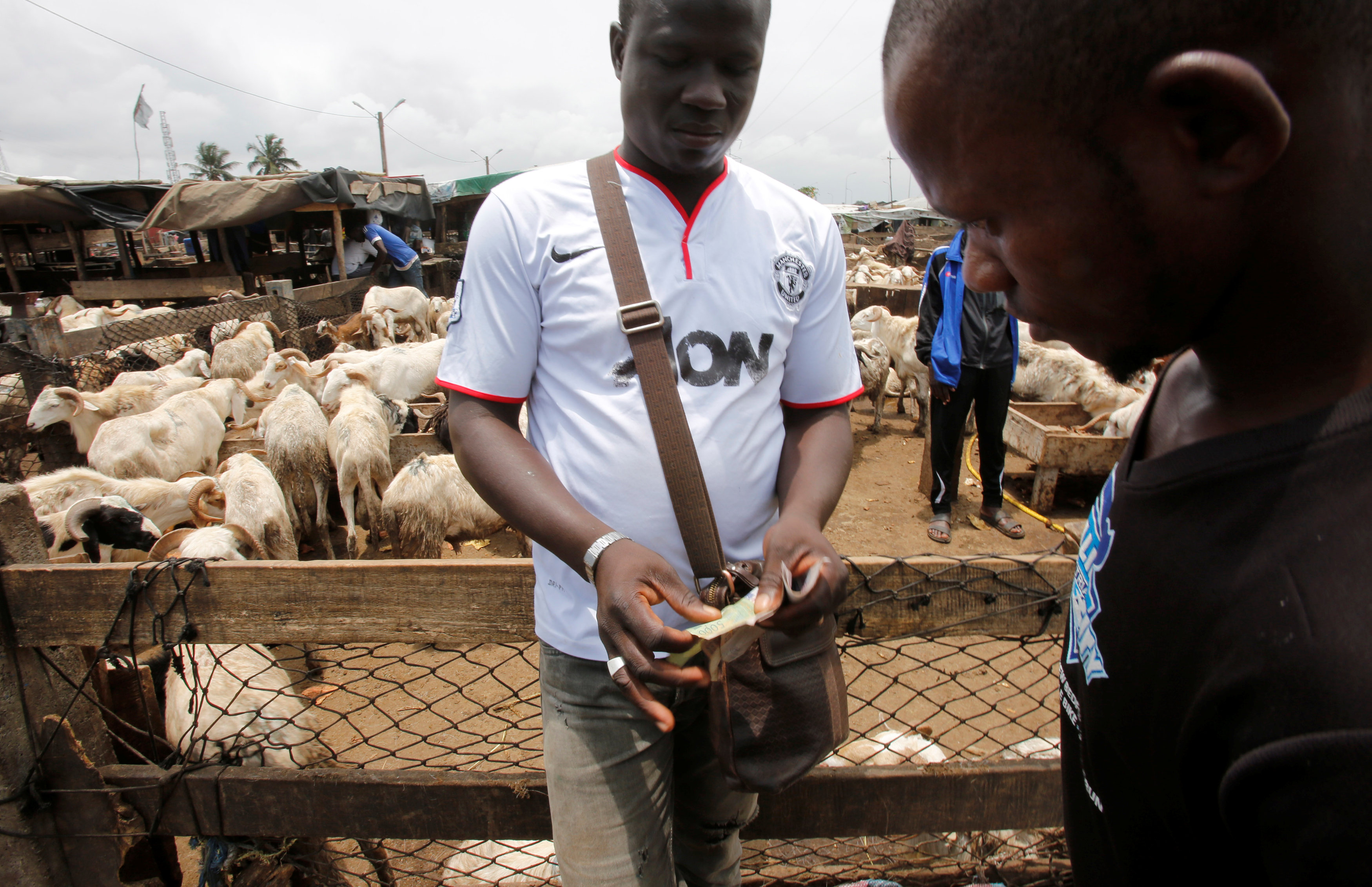 رجل من ساحل العاج يدفع حق الأضحية للبائع فى سوق الماشية