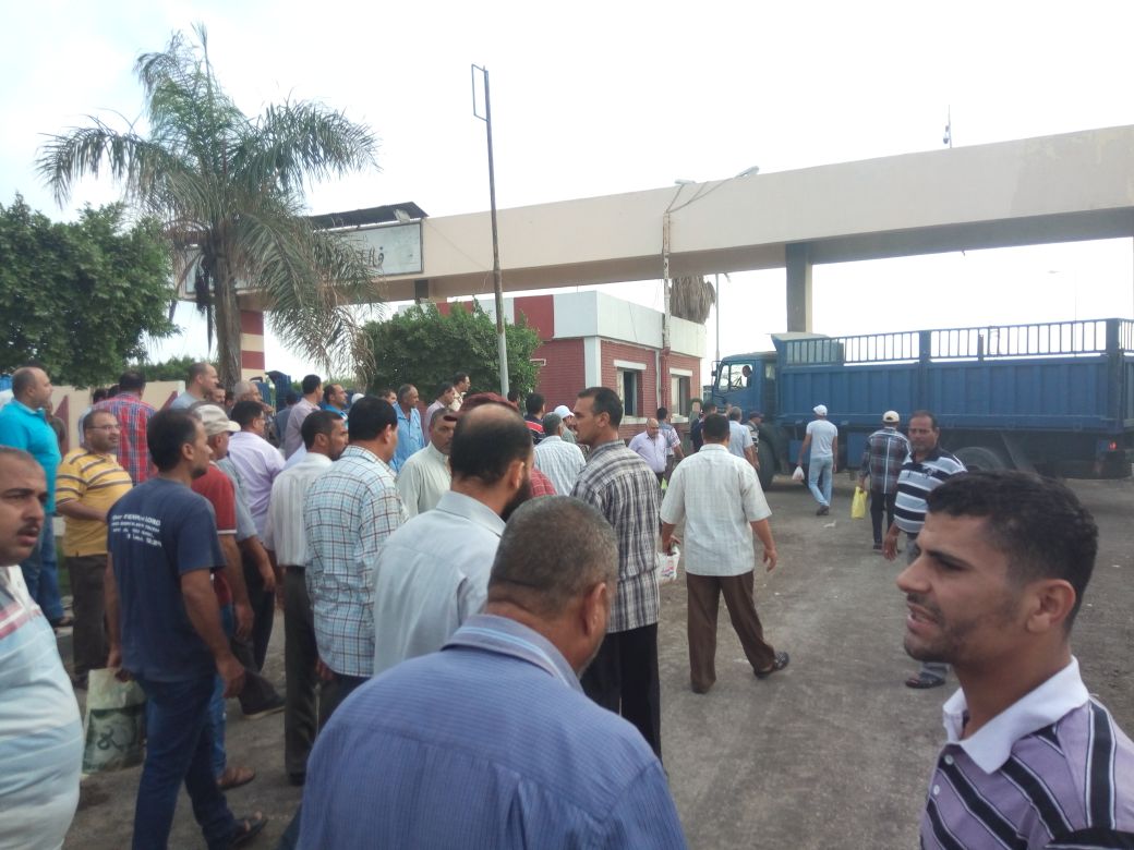 وقفة احتجاجية بمصنع السكر بكفر الشيخ (3)
