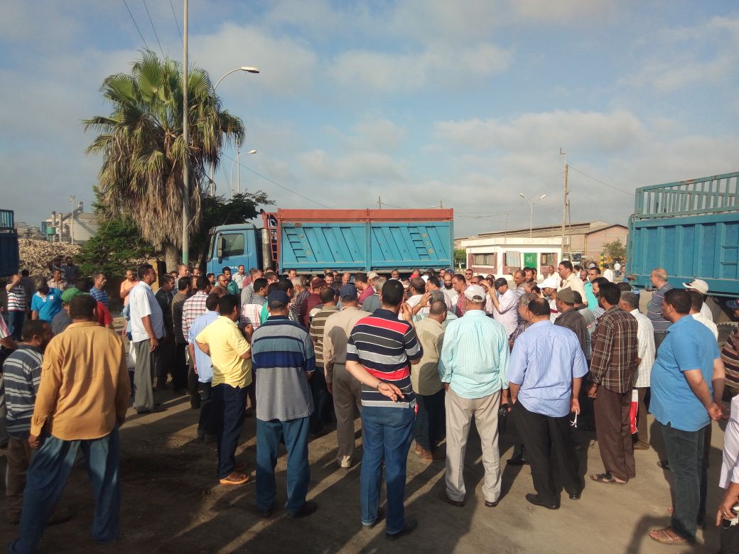 وقفة احتجاجية بمصنع السكر بكفر الشيخ (1)