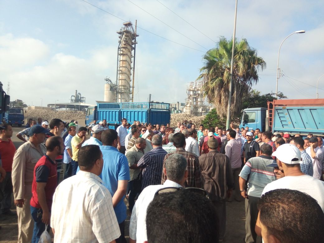 وقفة احتجاجية بمصنع السكر بكفر الشيخ (2)