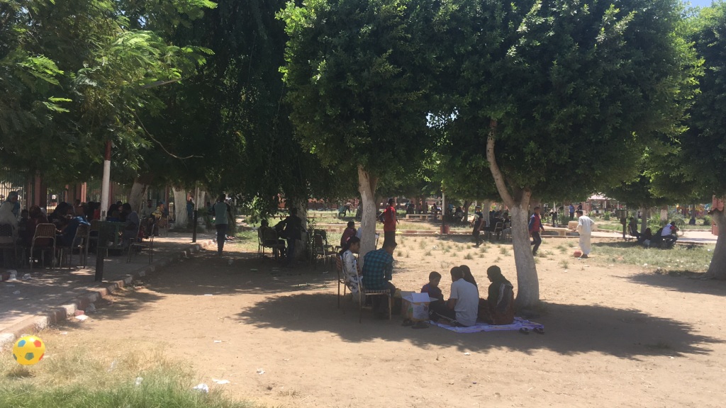 مواطنون يتوافدون علي الحدائق لقضاء اجازة العيد  (2)